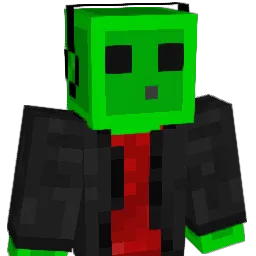 Skyr91580 Minecraft avatar bust