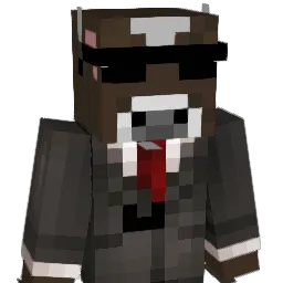 Skyraid__ Minecraft avatar bust