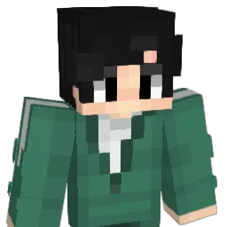 Skywalker1970 Minecraft avatar bust