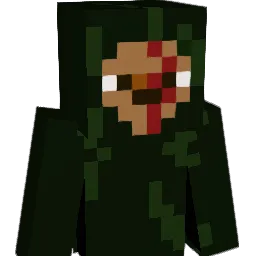 Skywalker_ay Minecraft avatar bust