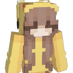 Skywarrior1337 Minecraft avatar bust