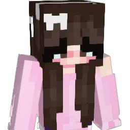 SkzXal Minecraft avatar bust