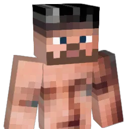 Slausl Minecraft avatar bust