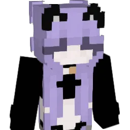 Sleepwinter Minecraft avatar bust
