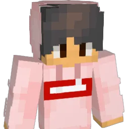 Sleepy213 Minecraft avatar bust