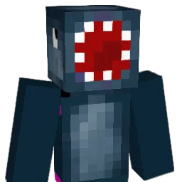 SleepySeal1 Minecraft avatar bust