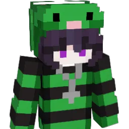 Sleepzin_00 Minecraft avatar bust