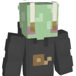 SlimmySnail Minecraft avatar bust