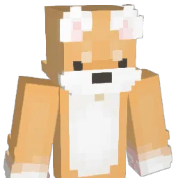 SlvaDog