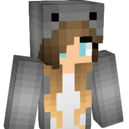 Small_Koala Minecraft avatar bust