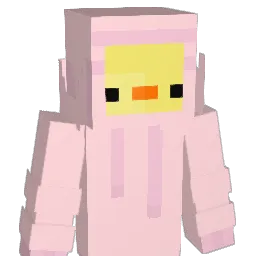 SmartDucky_