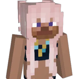 SmellyAirBaby79 Minecraft avatar bust