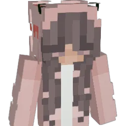 Smilla1020 Minecraft avatar bust
