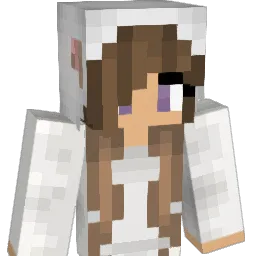 Sminky01 Minecraft avatar bust