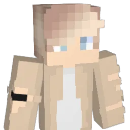 Sn0wZone Minecraft avatar bust