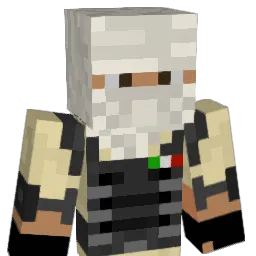 Snackky75 Minecraft avatar bust