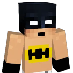 SnadiX__ Minecraft avatar bust