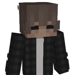 Sneakerheadss Minecraft avatar bust