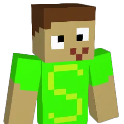SnechSK_ Minecraft avatar bust