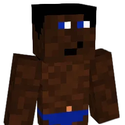 Sneecs Minecraft avatar bust