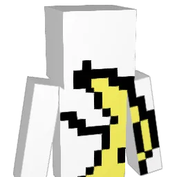 Snipes4Iife1 Minecraft avatar bust