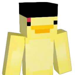 SnipesPlayzW Minecraft avatar bust