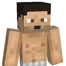 Snorks_ Minecraft avatar bust