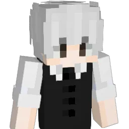 SnowKota Minecraft avatar bust