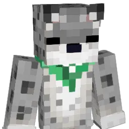 SnowLeopard135 Minecraft avatar bust