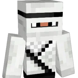 SnowNinja333