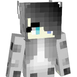Snow_Leopard240 Minecraft avatar bust