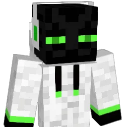 Snowleopard2 Minecraft avatar bust