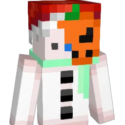 SnowmanSurvivor Minecraft avatar bust