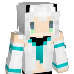 Snownight_Fox Minecraft avatar bust