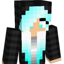 Snowy1860 Minecraft avatar bust