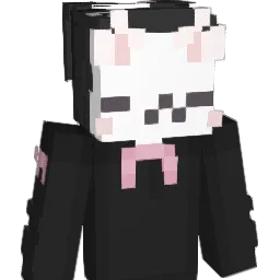 SnowyV3 Minecraft avatar bust