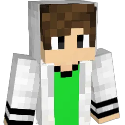 Snppngtrtle Minecraft avatar bust