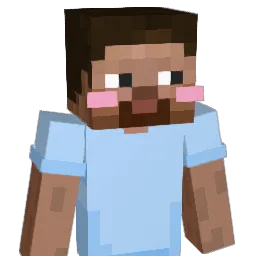 So1ev Minecraft avatar bust