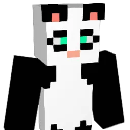 SoCaEk Minecraft avatar bust