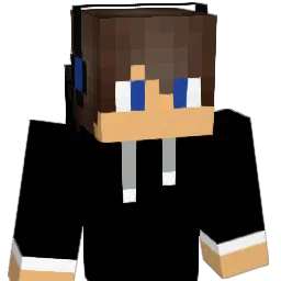 SoIns4ne Minecraft avatar bust