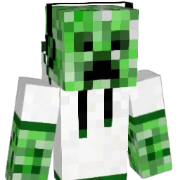 SoLe79 Minecraft avatar bust