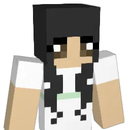 SoLo_XVI Minecraft avatar bust