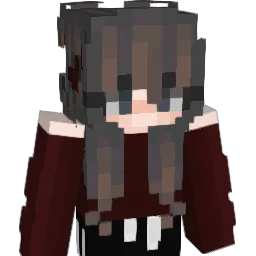 SoNeqi Minecraft avatar bust