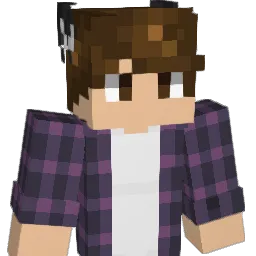 SoPro Minecraft avatar bust