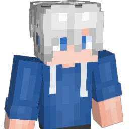 Soar_AoXiang Minecraft avatar bust