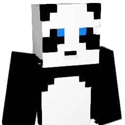 SoccerbudNate Minecraft avatar bust