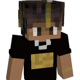 SockMaster2205 Minecraft avatar bust
