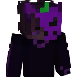 SockenHeiner666