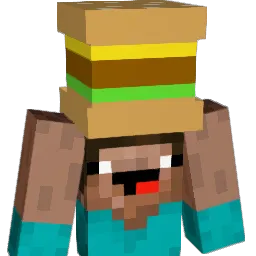 Socn_ Minecraft avatar bust