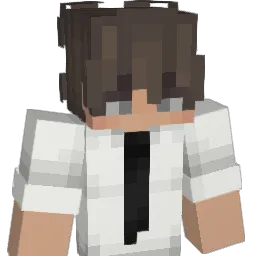 Sodial__ Minecraft avatar bust